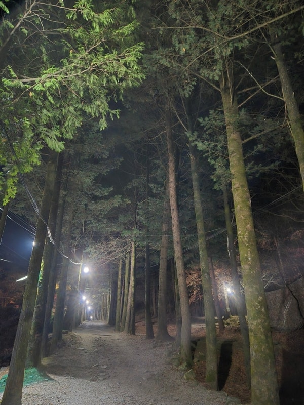 [포천애견동반캠핑장]겨울에도... 또간집 아버지의숲 산정캠프