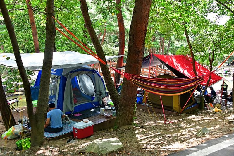 오도산 자연휴양림 대표 사진