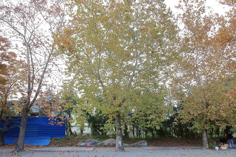 가온누리캠핑체험장 시설 사진 12