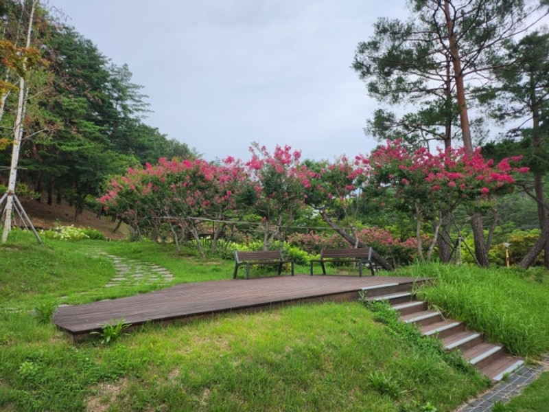 울진 여행 카라반 캠핑 구수곡자연휴양림 국립 해양과학관