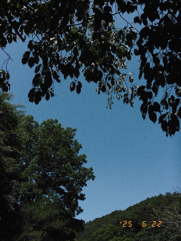 2026.06.21.~22., 안성 운모석캠핑장