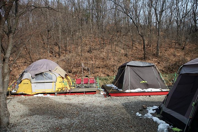 용인랜드 숲속캠핑장 대표 사진