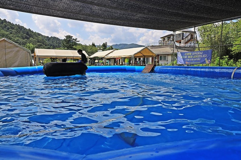 물동네 힐링 야영장 시설 사진 6