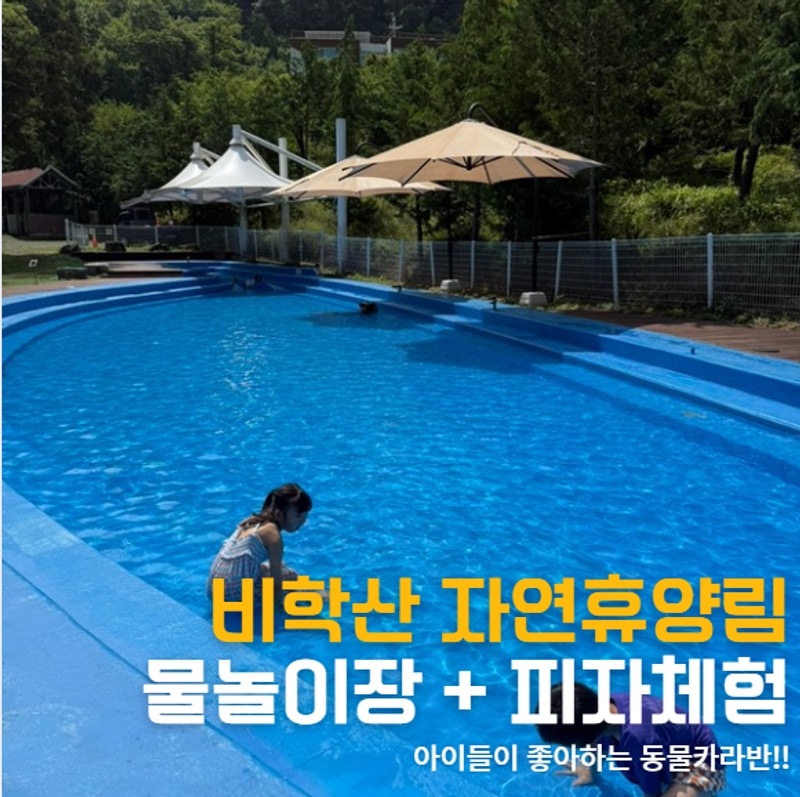 포항 비학산 자연휴양림 물놀이장 , 고양이카라반, 피자체험 다...