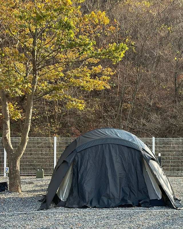 경주 산내 캠프 포레스트 캠핑장  D-7 깨끗한 시설과 카페...