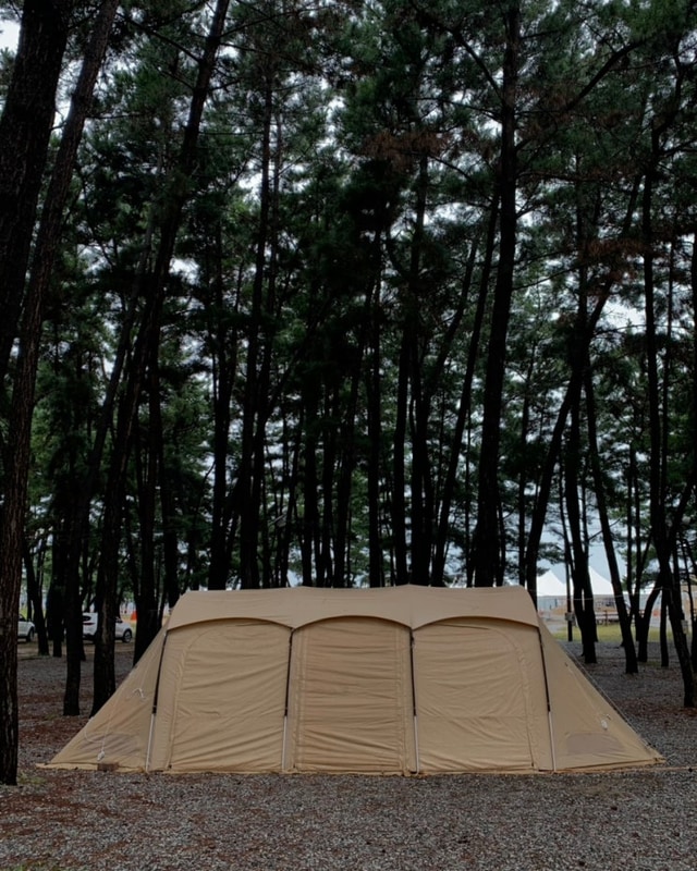 [국내] 충남 태안 몽산포 오션 캠핑장 3박 4일