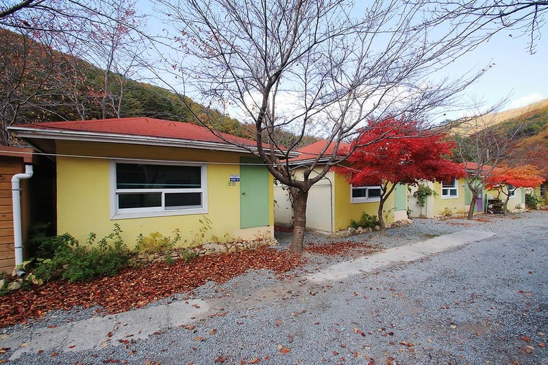 월계수 캠핑장 시설 사진 1