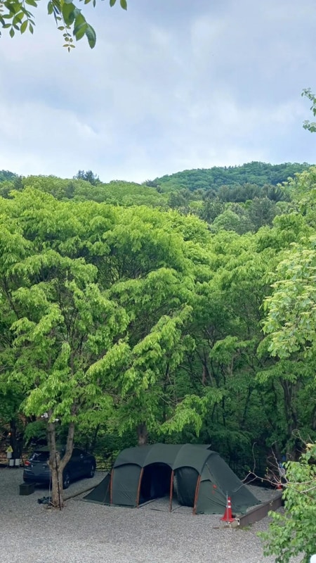[가평 캠프1975] 서울 근교 계곡 캠핑장 ! 계단만 내려가면...