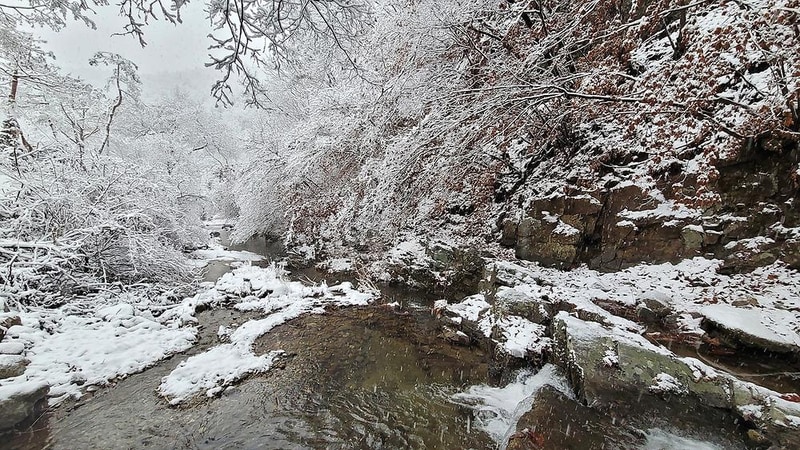 굿나잇 캠핑장 시설 사진 17