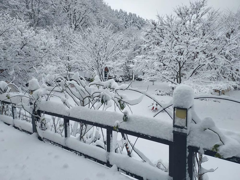 횡성산울림오토캠핑장 시설 사진 1