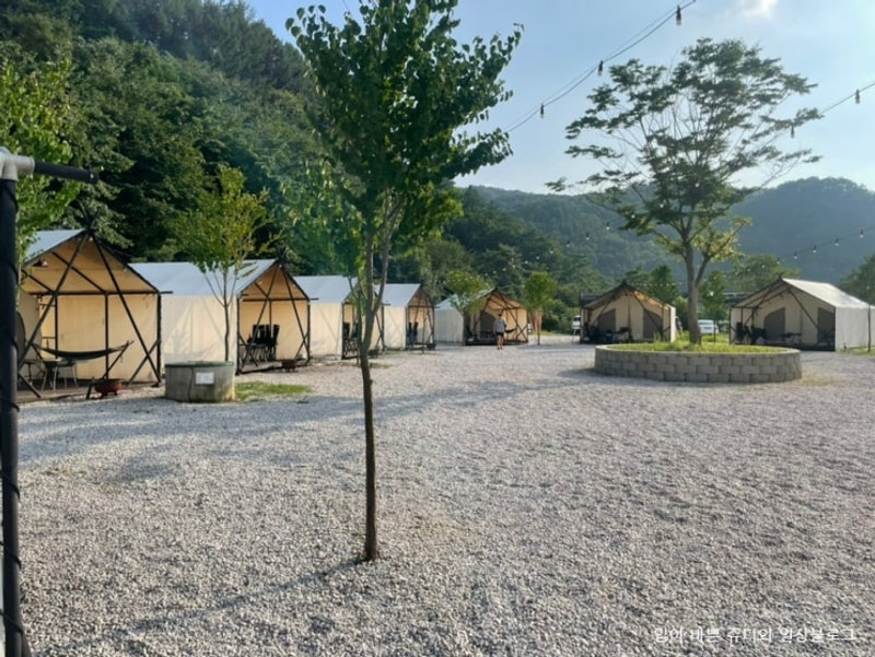 [호랑이캠핑 포천 산정호수점]고양이천국 포천산정호수 글램핑