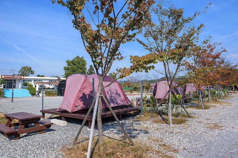 함평나비마을 서울캠핑장 시설 사진 8