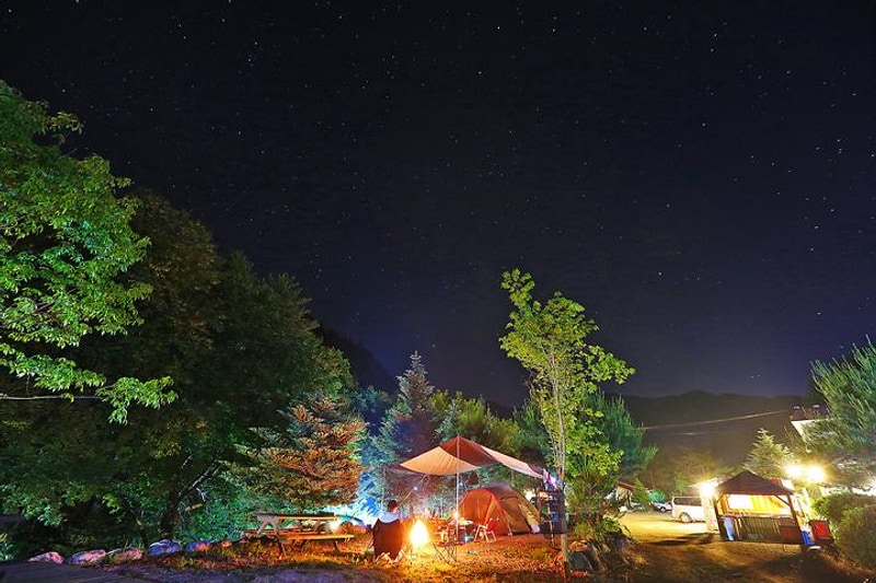 용골송어와 캠핑 대표 사진