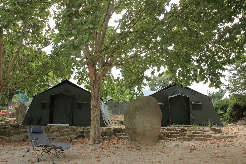 Camp 1950 시설 사진 12