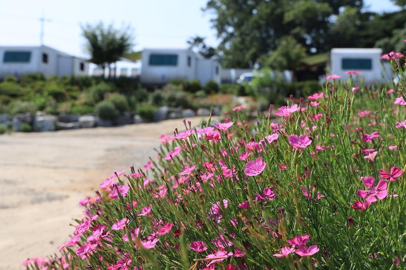 클럽레스피아in삽교바다공원 시설 사진 4