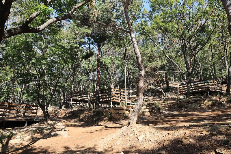 강화도 아침 숲속야영장 시설 사진 22