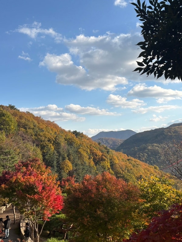 가을이 오면~ (가평 글램핑 더 글램, 두메막국수, 닭한마리 간편...