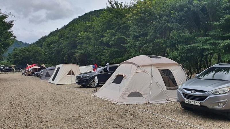 가온오토캠핑장 대표 사진