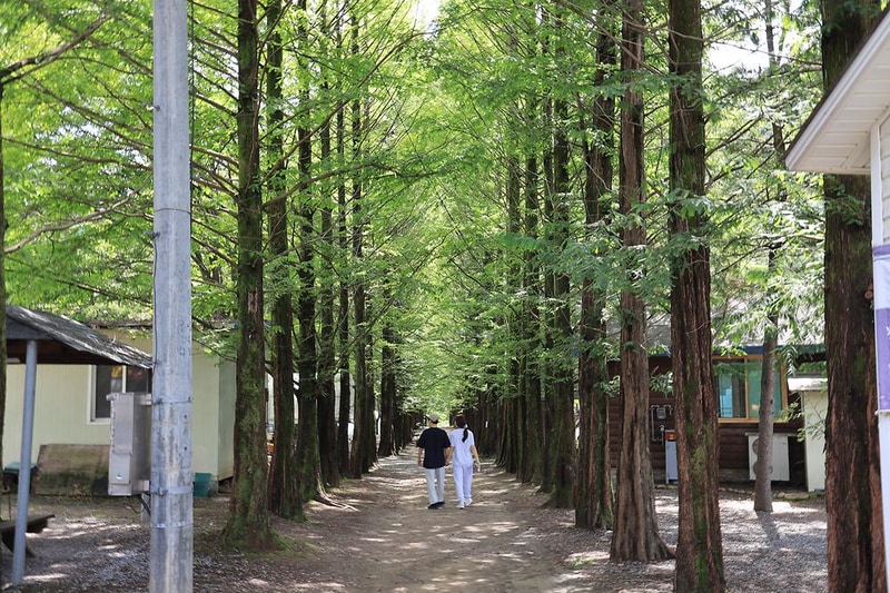 다 그린 시설 사진 15