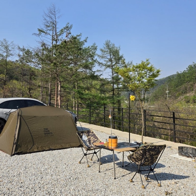 양평 다올오토캠핑장 A4 사이트 계곡 캠핑장 명당 자리 리뷰