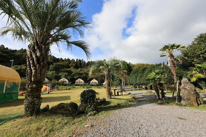 제주올레캠핑 대표 사진