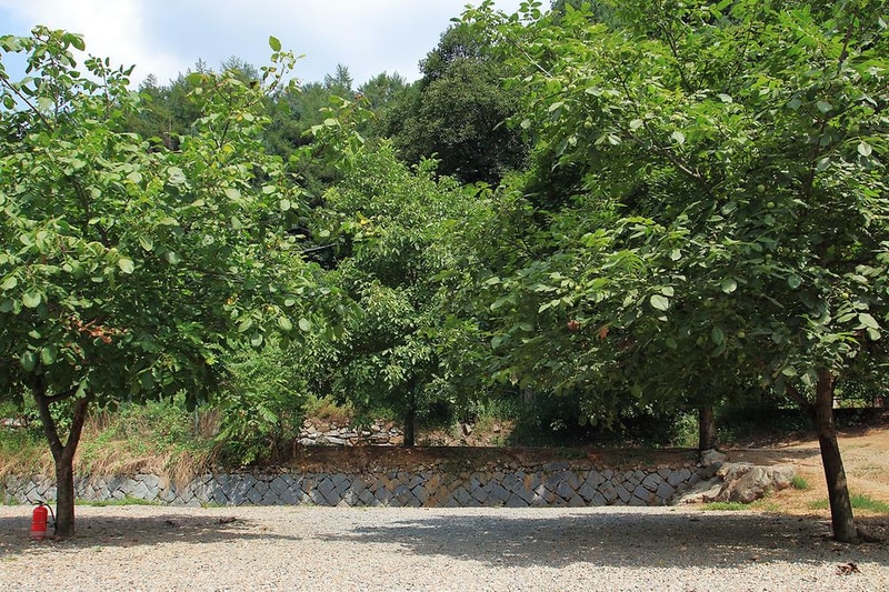 호두나무캠핑장 시설 사진 2