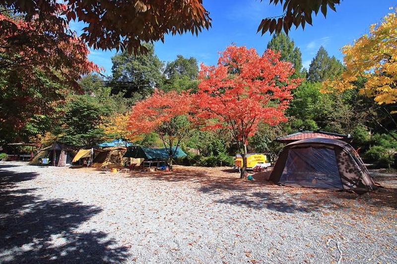 솔티야영장 대표 사진