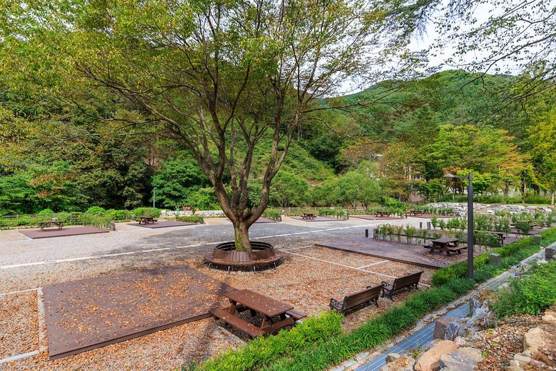 성수산 왕의숲 국민여가캠핑장 시설 사진 6