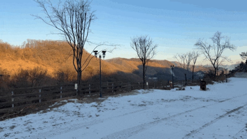 충주 조용한 캠핑장 코코캠핑 전세캠으로 다녀온 후기