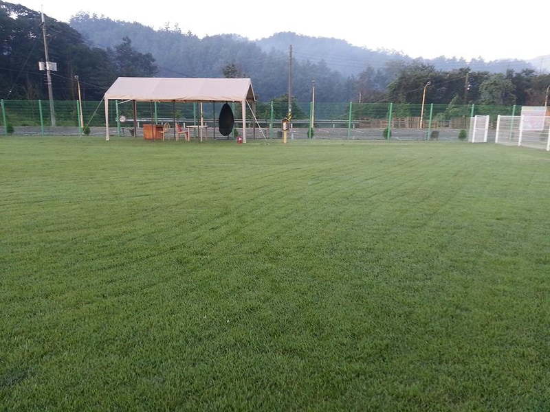 랩도그빌애견캠핑장 시설 사진 8