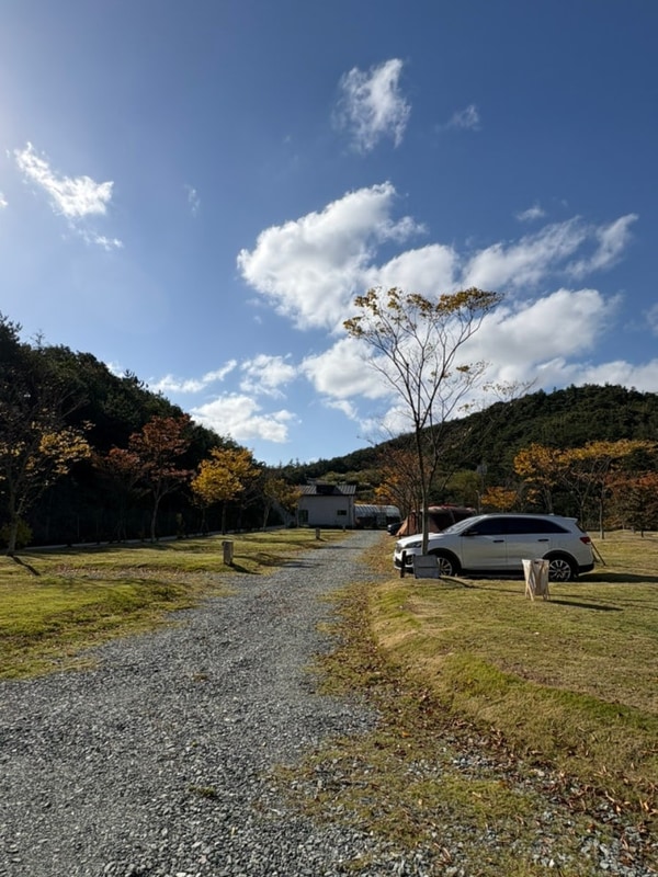 함평 베리굿오토캠핑장 B6 사이트 내돈내산 이용 후기 (예약...