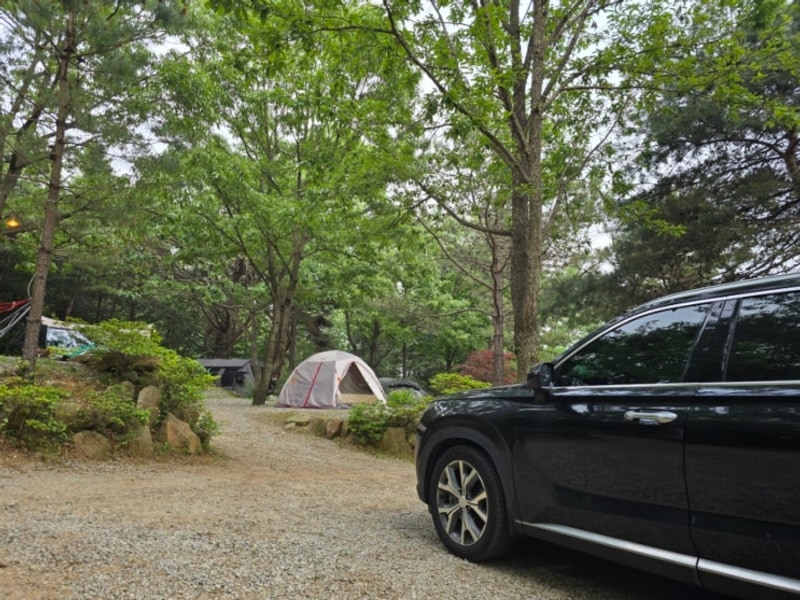 캠핑 (낭만에코파크-강화)