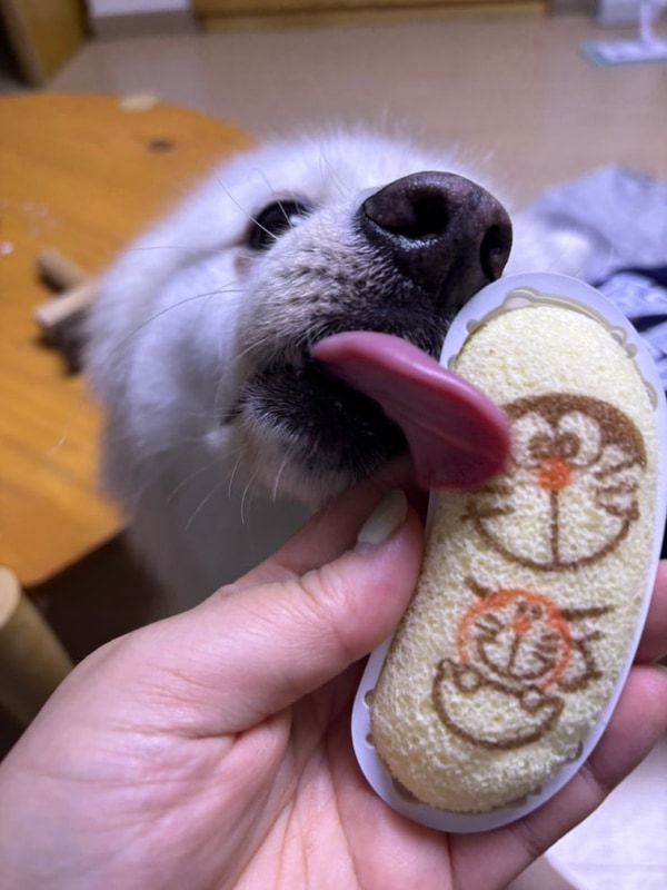 [princess]동학사 힐링캠핑장 2025.10.25-26