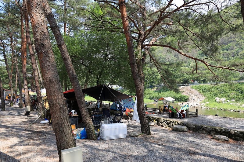 내리계곡 솔바람 캠핑장 시설 사진 28