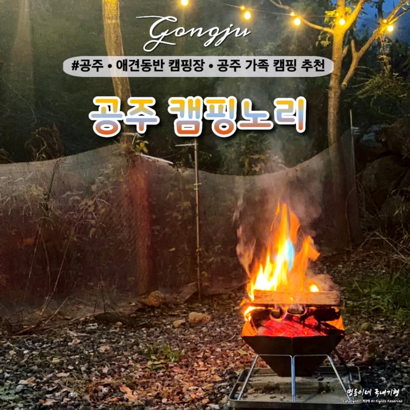 공주 캠핑노리 캠핑장 가족과 반려견이 함께한 힐링캠핑 후기