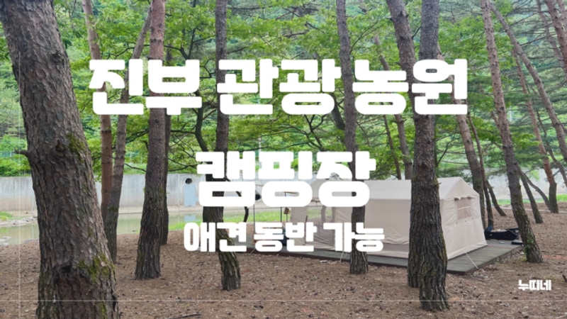 [강원도 평창] 진부 관광농원 캠핑장 (애견 동반 가능)