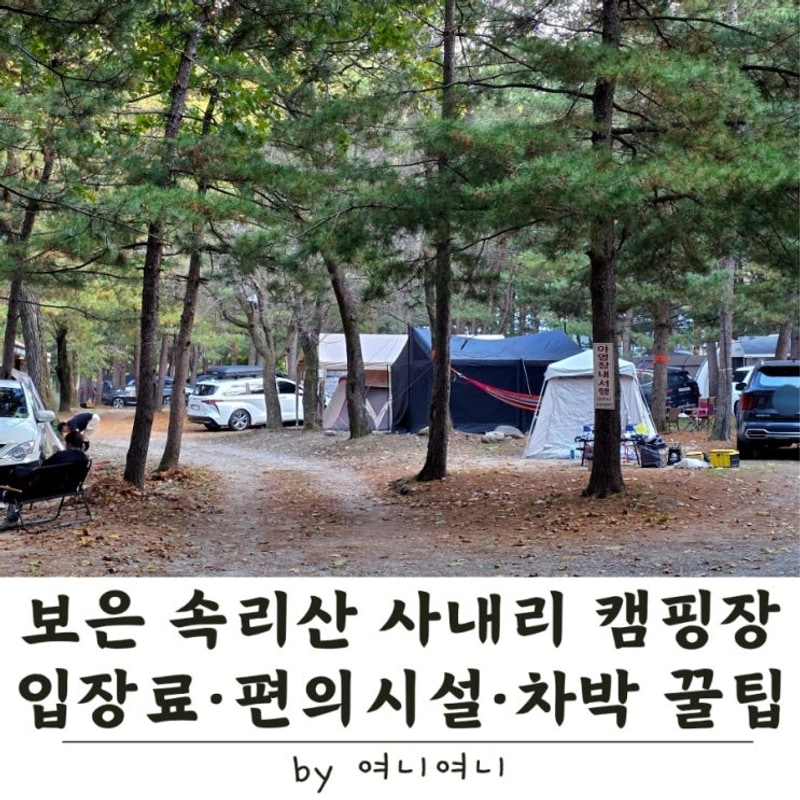 보은 속리산 사내리 캠핑장 | 차박 가능, 입장료 · 이용 꿀팁...
