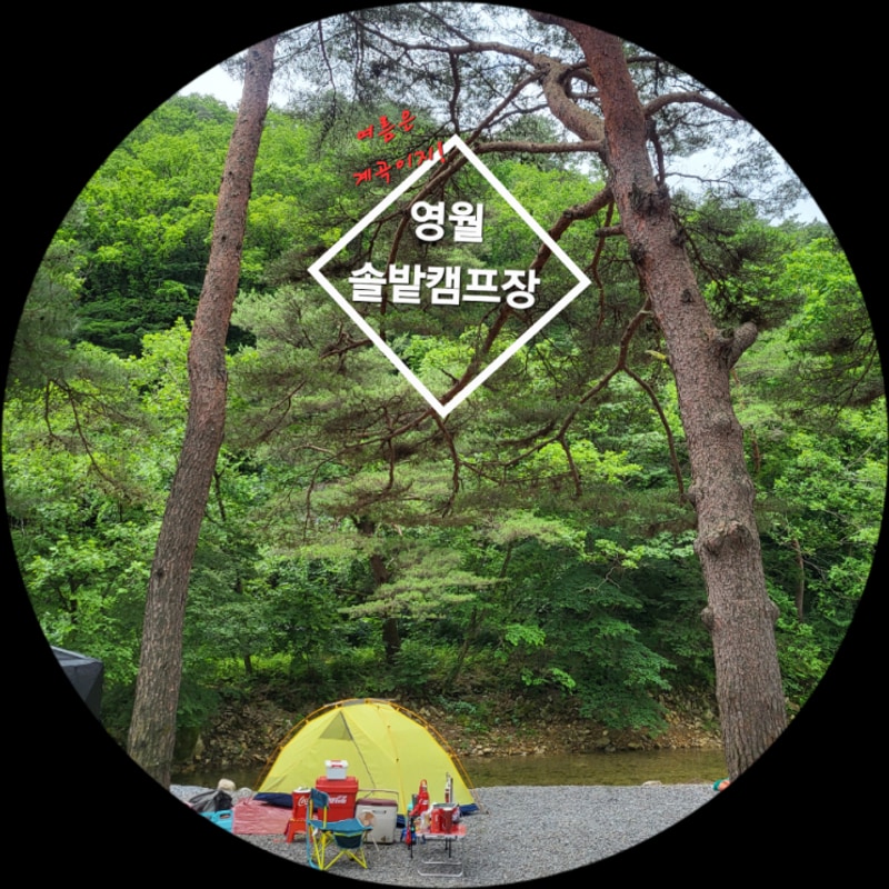 계곡캠핑/ 솔밭캠프장/영월 법흥계곡/선착순캠핑/예약없이...