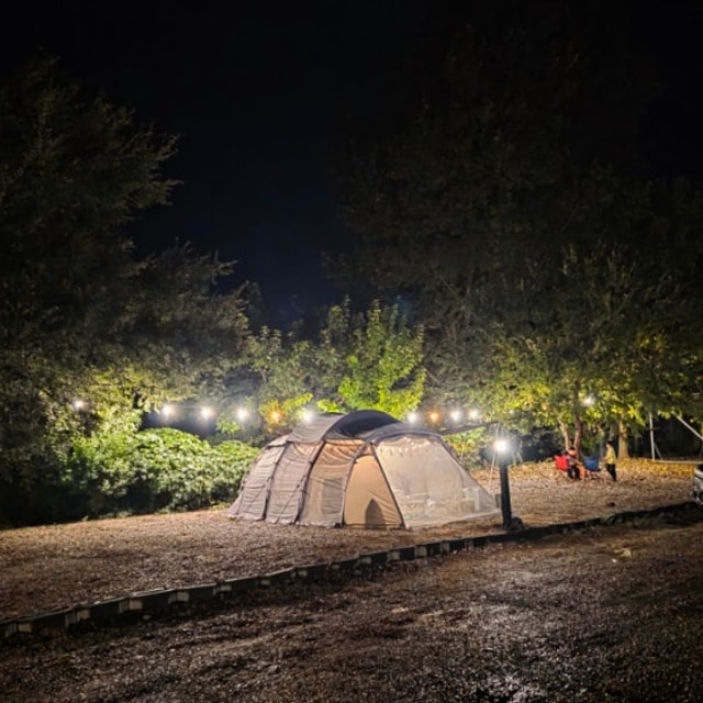 퀘렌시아 대표 사진