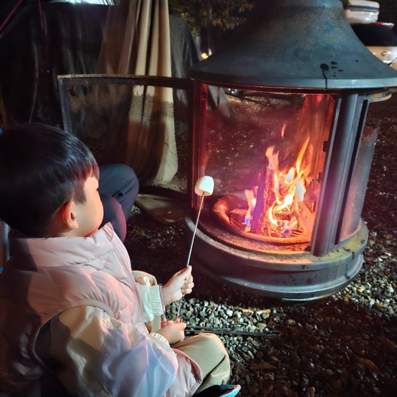 가평여행 / 가평양떼목장 / 가평 메타피아 오래캠핑장...