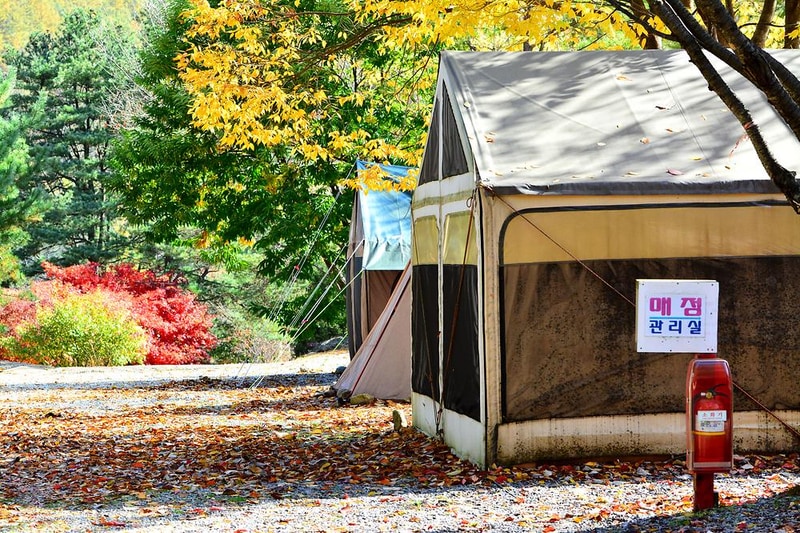 에뜨유명산캠핑장 시설 사진 3