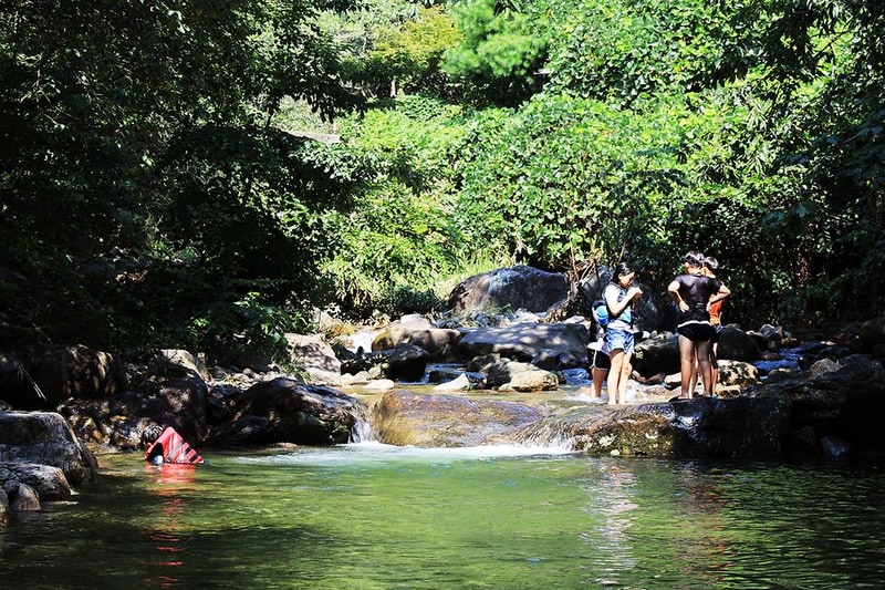 팜스테이 글램핑 앤 펜션 시설 사진 17