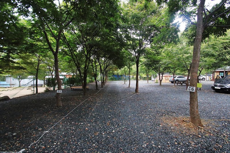 배너미오토캠핑장 시설 사진 2