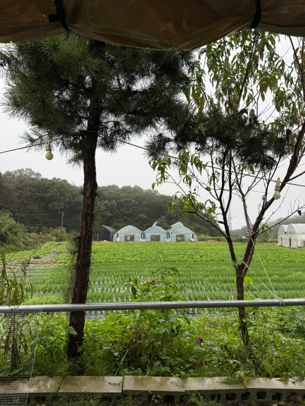 파주자장캠핑장 / 타프존 우중캠핑 B2 내돈내산 후기