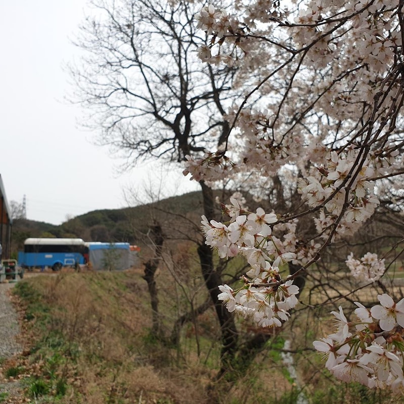 러빙유 카라반 캠핑장 시설 사진 8