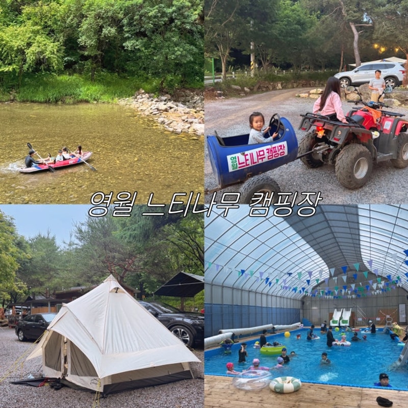 계곡과 수영장이 있는 영월 느티나무 캠핑장 (카약, 깡통기차...