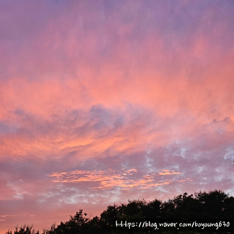 [춘천-용화산 테마파크 캠핑장] 캠핑!!! 이렇게 시작하는거 맞나요?