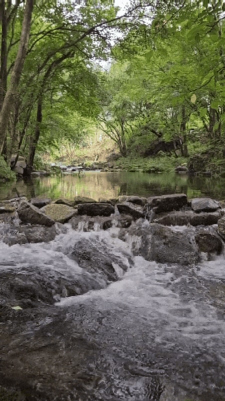 평창 반딧불 캠핑장 (구.007 반딧불이 오토캠핑장) 배치도 시설