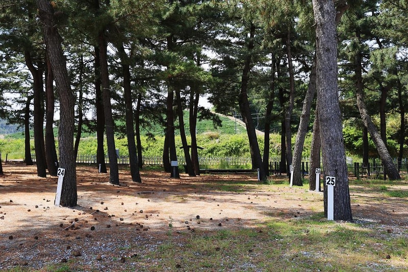 북분솔밭캠핑장 시설 사진 7