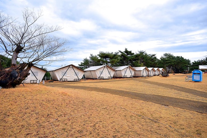 느랭이골 자연휴양림 일반야영장 시설 사진 7